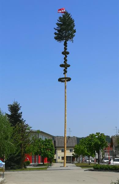 ein hoher Baum mit einer Fahne darauf